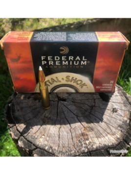 munitions 338 federal